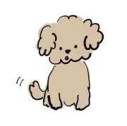 puku♡の画像