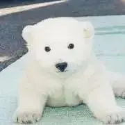 そらの画像