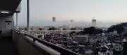 鰐