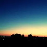 tamaの画像
