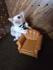 さち
