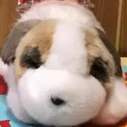 まりんこ