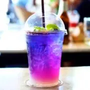 POPOの画像