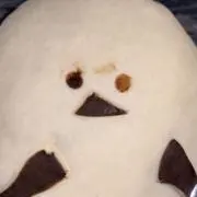 トマトの画像