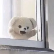 ちむの画像