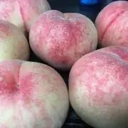 ちー