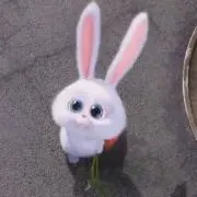 so-heeの画像