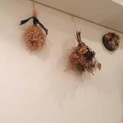 ササの画像