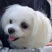 NAMIの画像