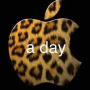 a day