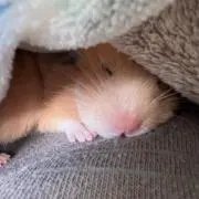 yuuの画像