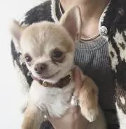 karen▶即日発送頑張りますの画像