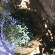 mamarinの画像