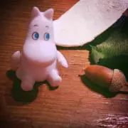カッチーの画像