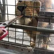 ぶんぶんまるの画像