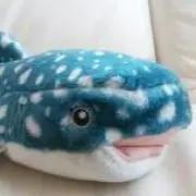 みょみょ
