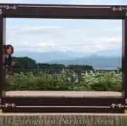 クローバーラブ