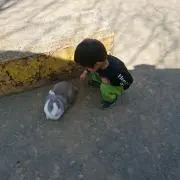 ヒコザルくん