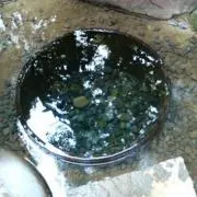 バンプの画像