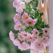 はな