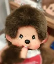 山ちゃんのおくさん