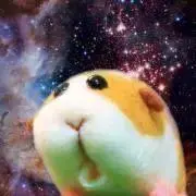 delphis