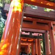 ｋｓさん#プロフ必読#