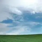 クリンの画像
