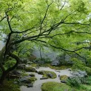 BOY プロフィール必読の画像