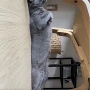 komaruの画像