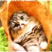 hina♡購入前にプロフィールご覧下さいの画像