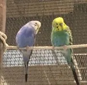 あかり（プロフお読み下さい）の画像