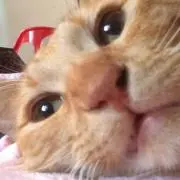 きら