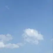 みりんの画像