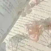 Cherryの画像