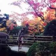 yummy0217の画像