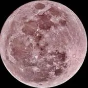 rururururu097の画像