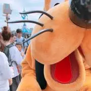 kkkの画像