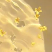 nyaaの画像
