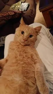 min minの画像