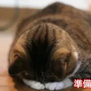 悪評ある方お断りしますの画像