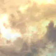シロ