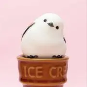 カズキの画像