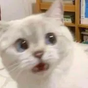 み♪
