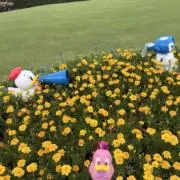 ぬぬぬの画像