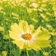 hika♡いいねしてお得情報GET❣️✨