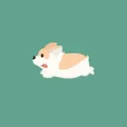 Mikoちゃんの画像