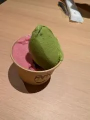 hinaの画像