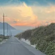 りくの画像