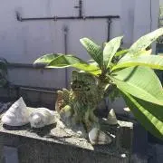 あすか